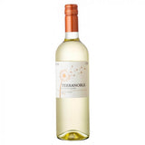 Terranoble Sauvignon Blanc, Central Valley Chile