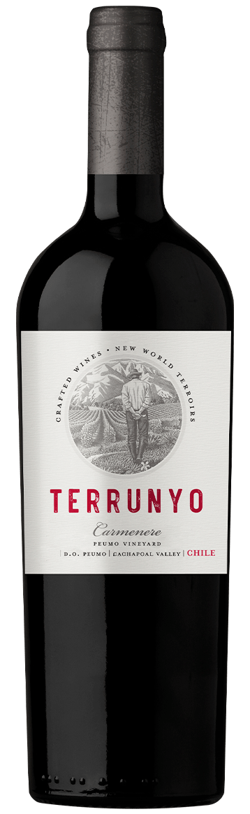 CYT Terrunyo Cabernet Sauvignon