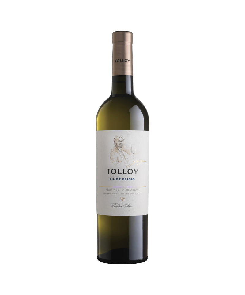 TOLLOY PINOT GRIGIO