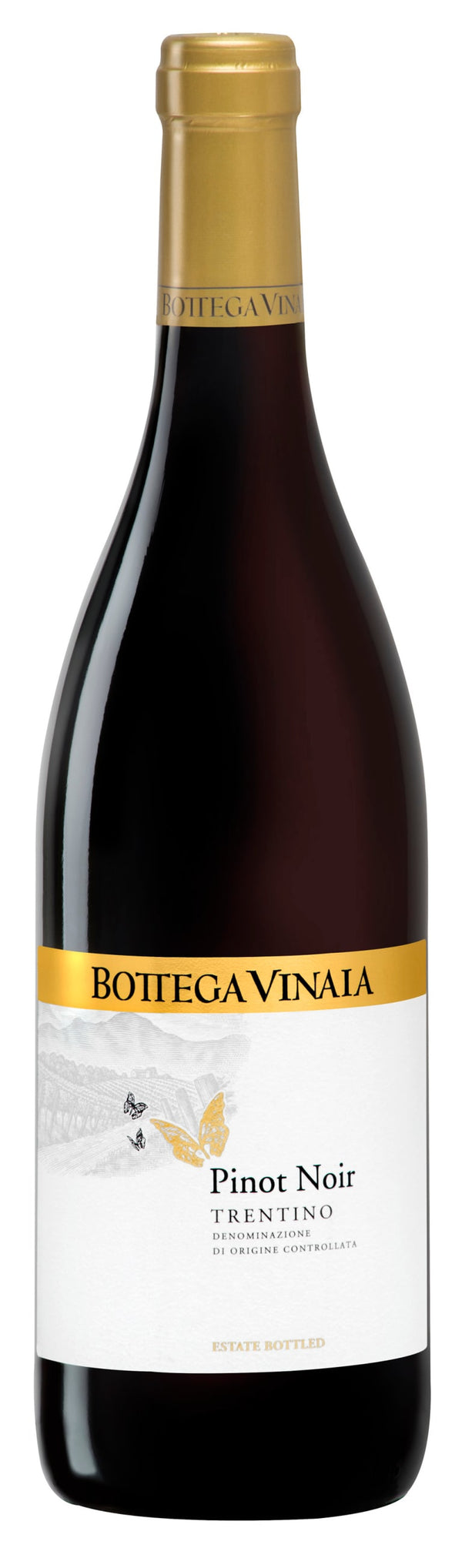 Bottega Vinaia Pinot Noir