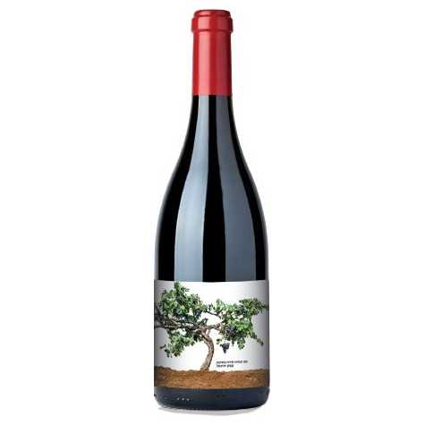 Recanati Petite Syrah Reserve