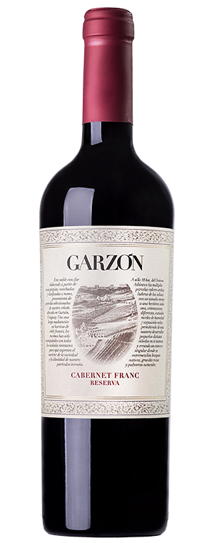 Bodega Garzon Reserve Cabernet Franc