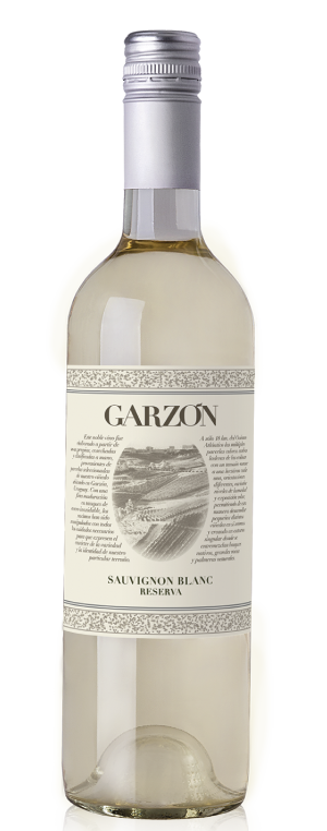 Bodega Garzon Sauvignon Blanc